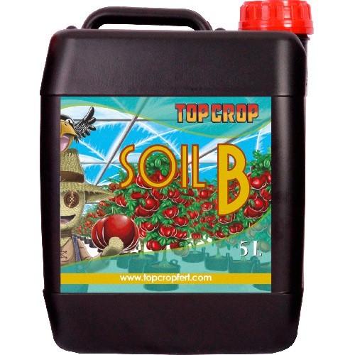 Soil B