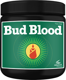 Polvo Bud Blood