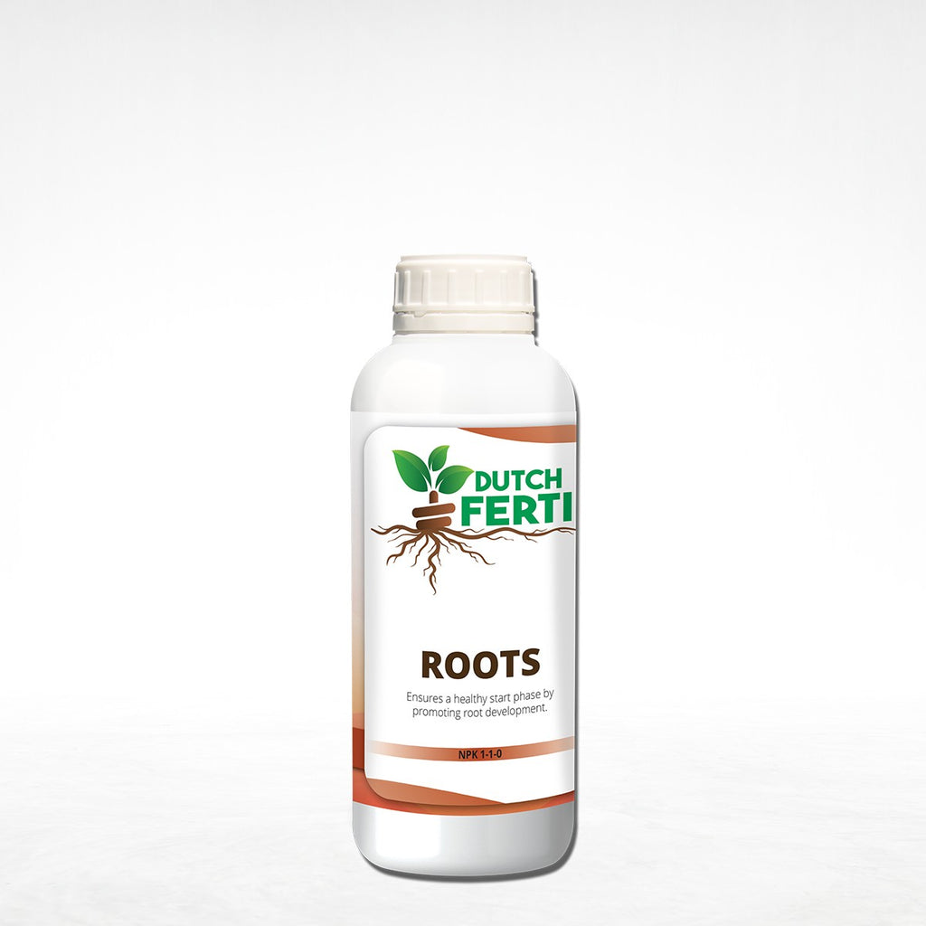 Dutch Ferti Roots
