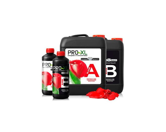 Bloom A+B