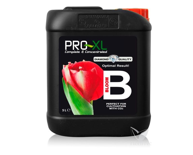 Bloom A+B