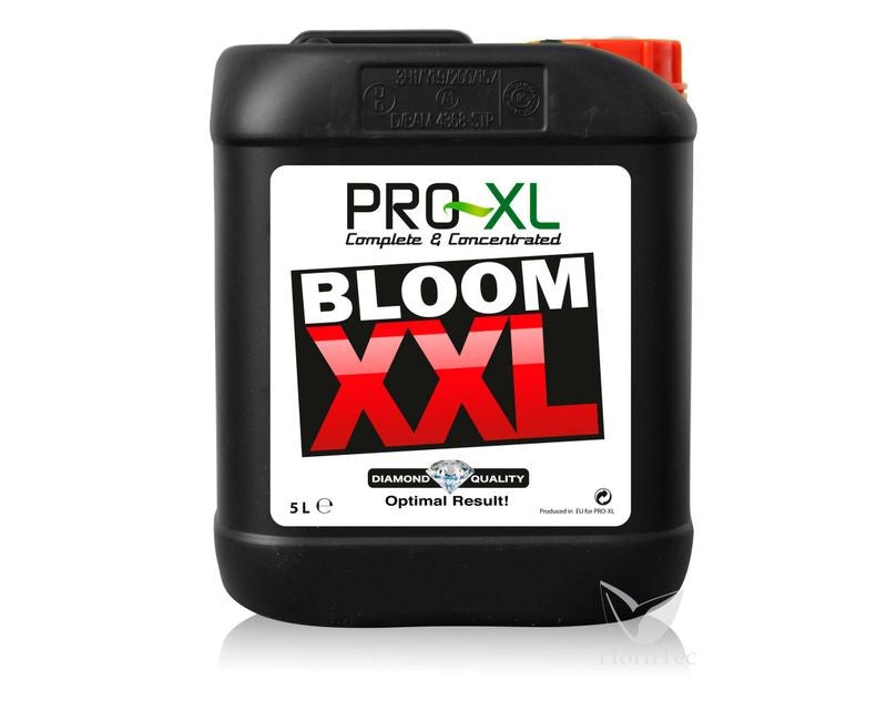 Bloom XXL