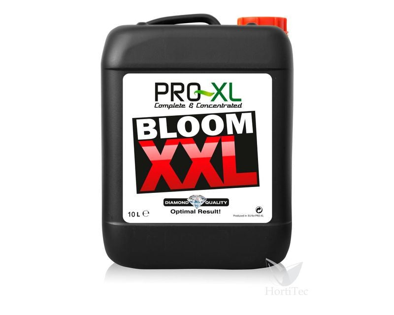 Bloom XXL