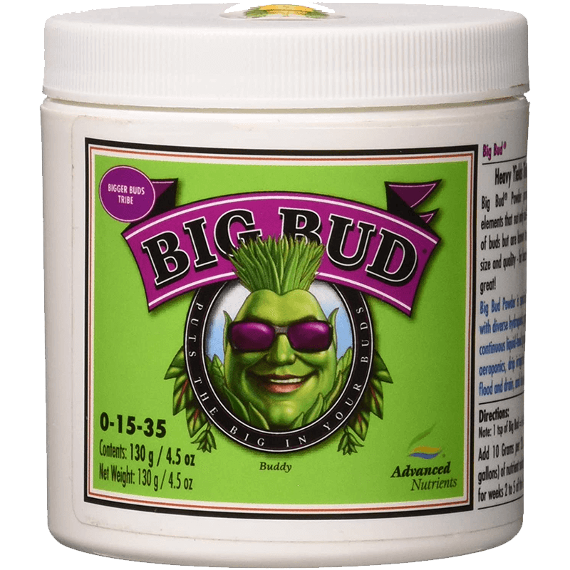 Big Bud Polvo