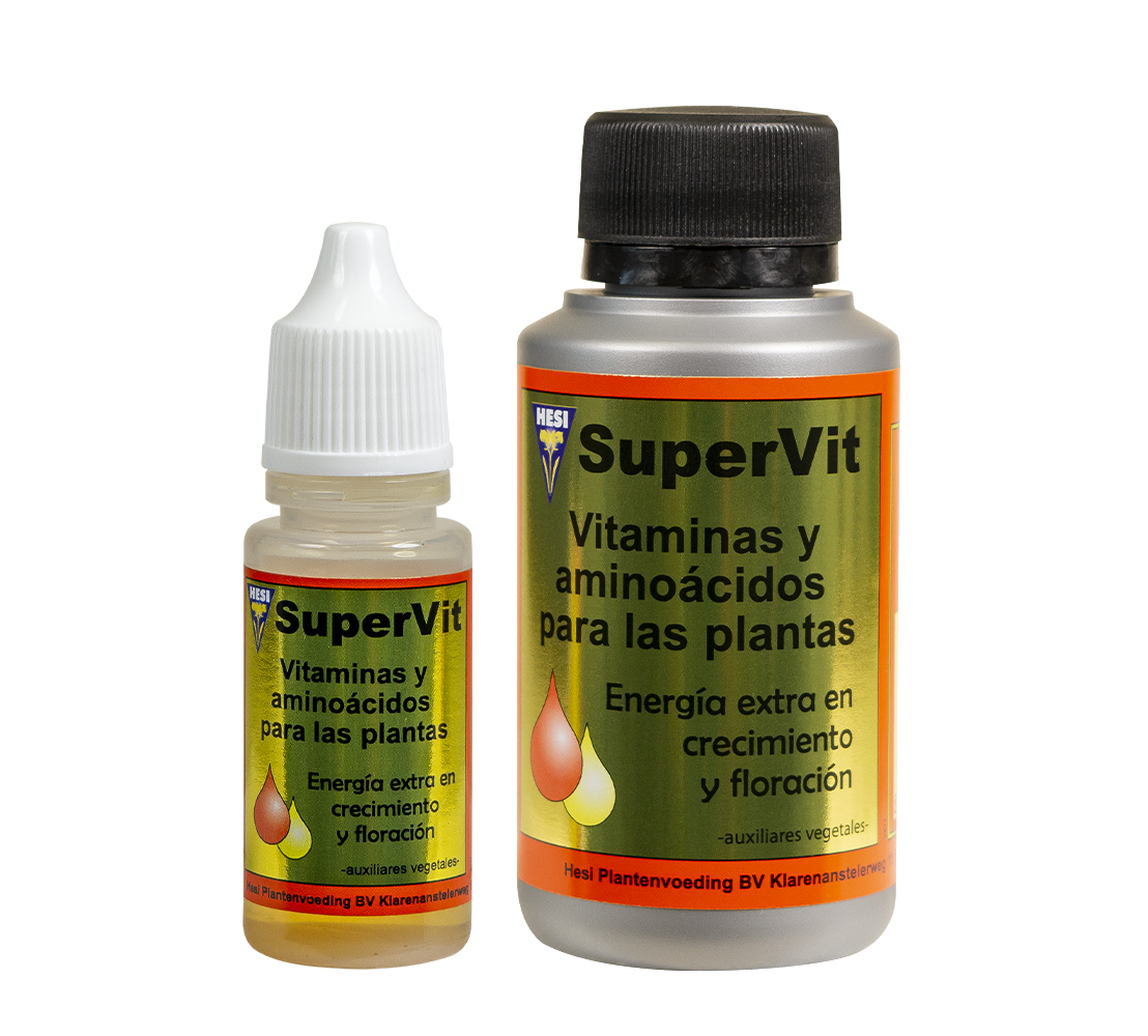 Supervit Hesi