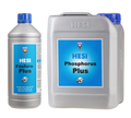 Fosforo Plus Hesi
