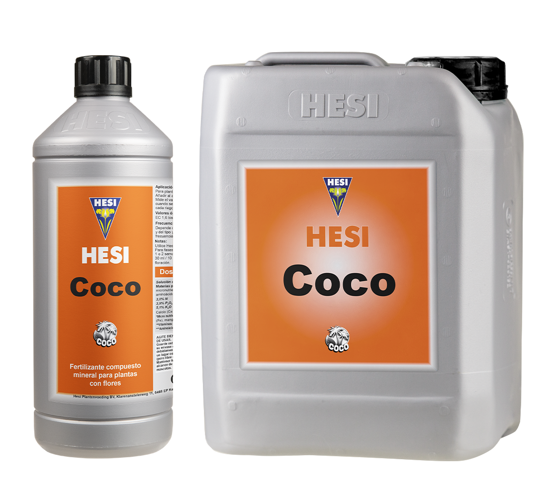 COCO HESI