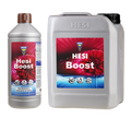 Hesi Boost