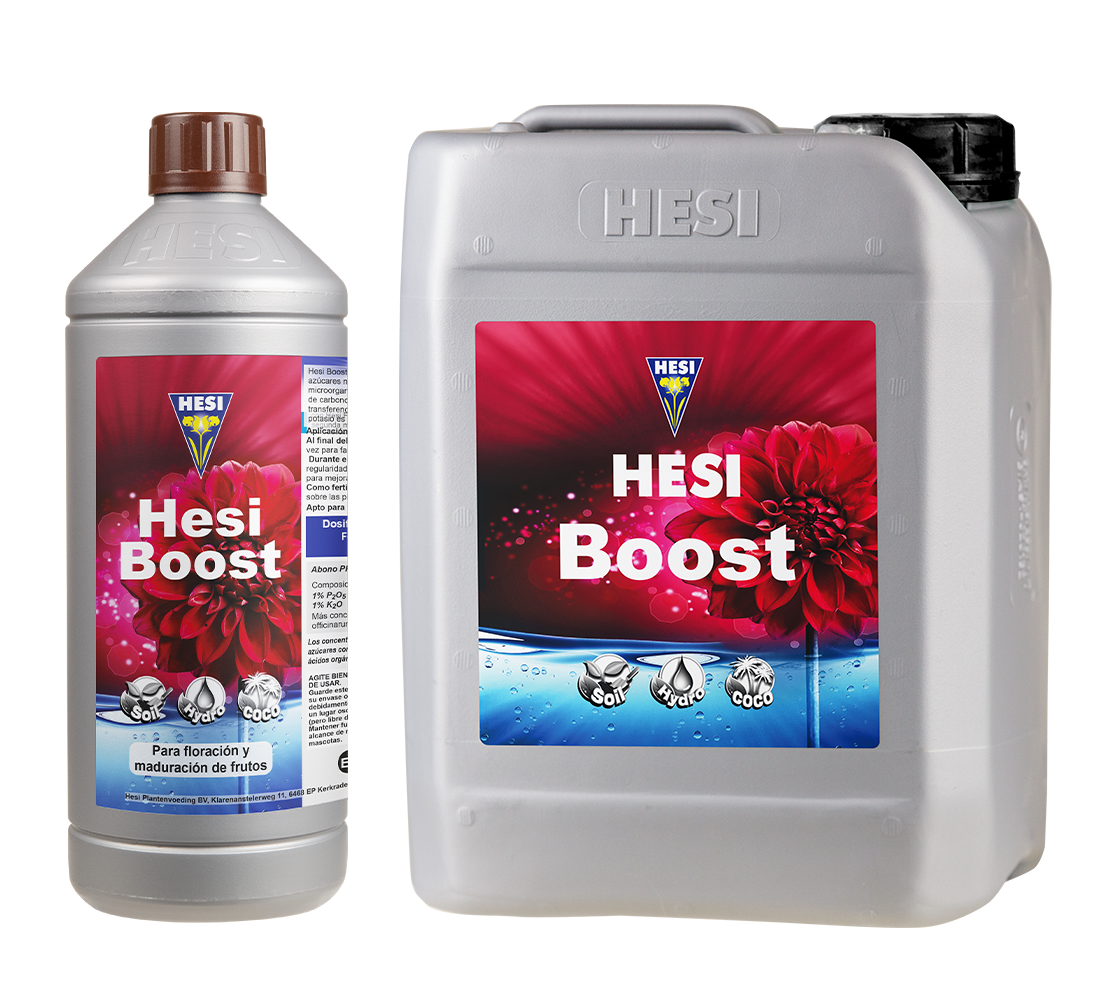 Hesi Boost