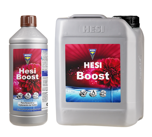 Hesi Boost