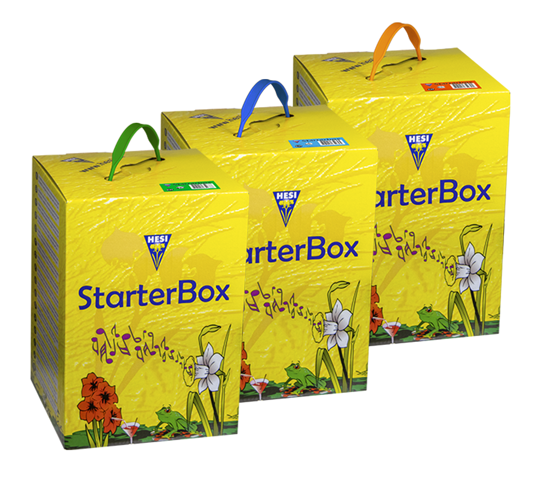 StarterBox Hesi