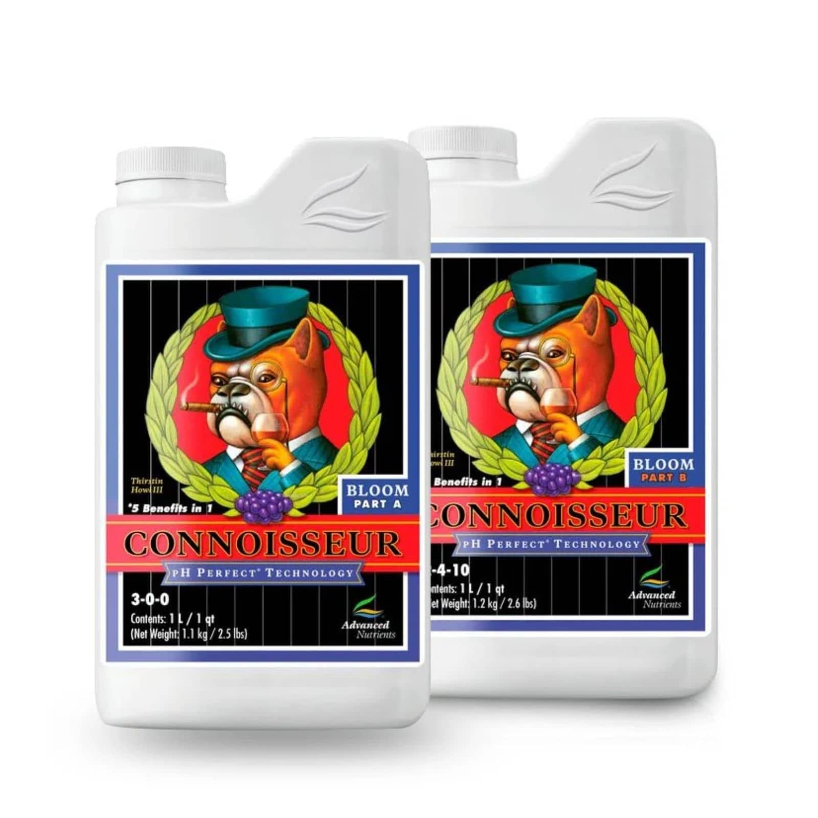 CONNOISSEUR BLOOM A+B