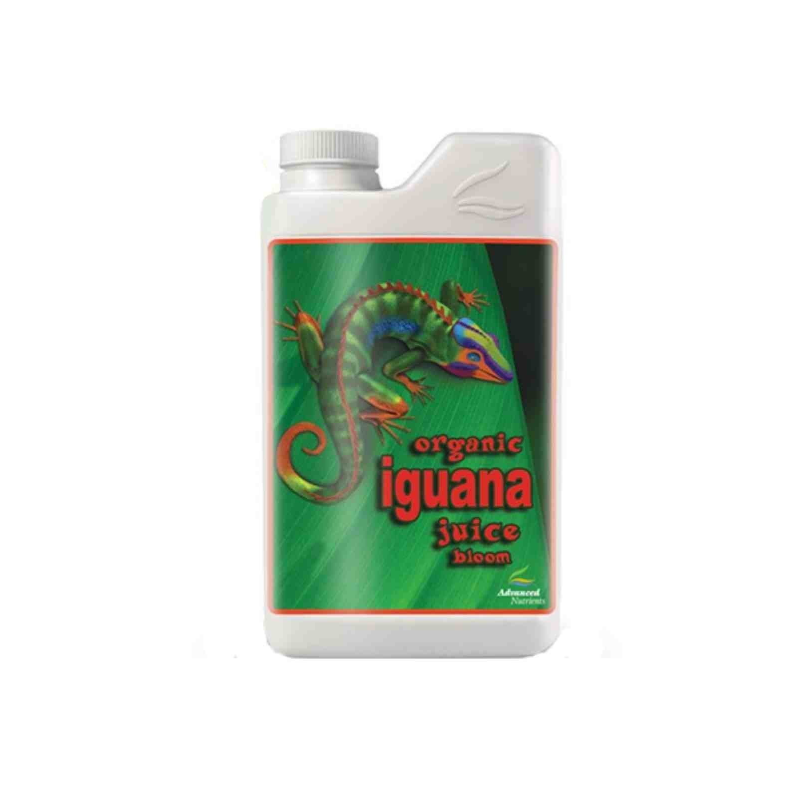Organic Iguana Juice Bloom