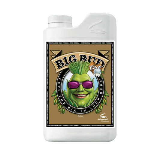 Big Bud Coco