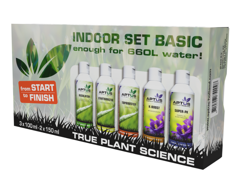 Indoor Set Basic