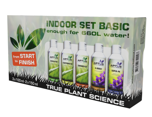 Indoor Set Basic
