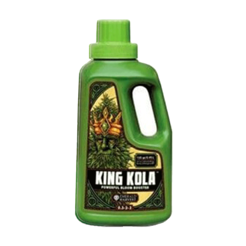 King Kola