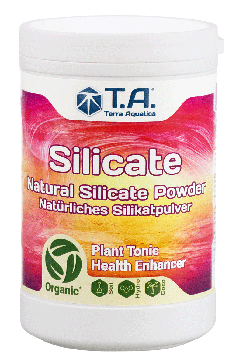 Silicate (mineral magic)
