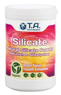Silicate (mineral magic)