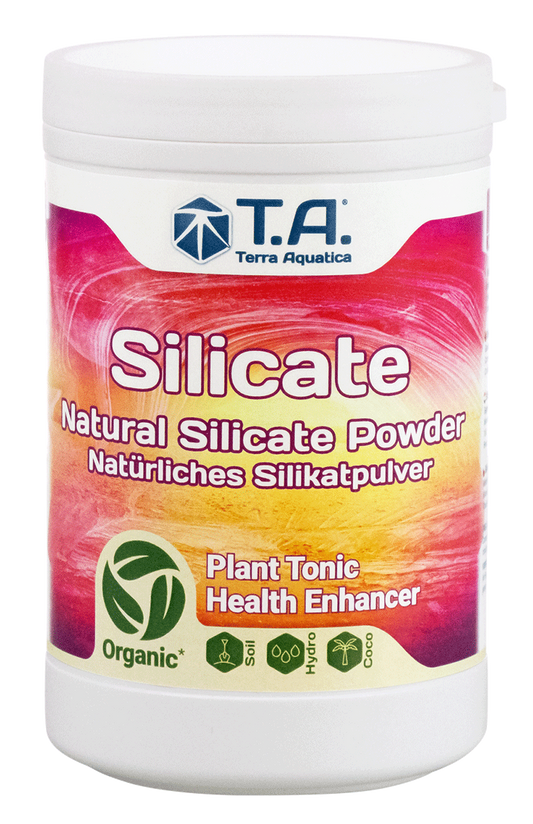 Silicate (mineral magic)
