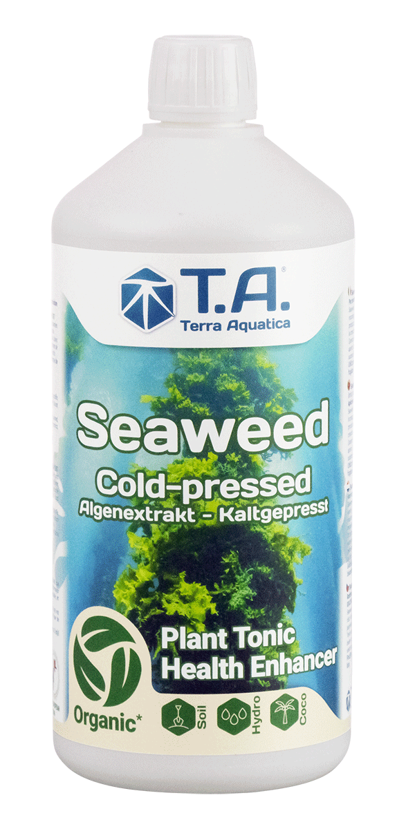 SEAWEED