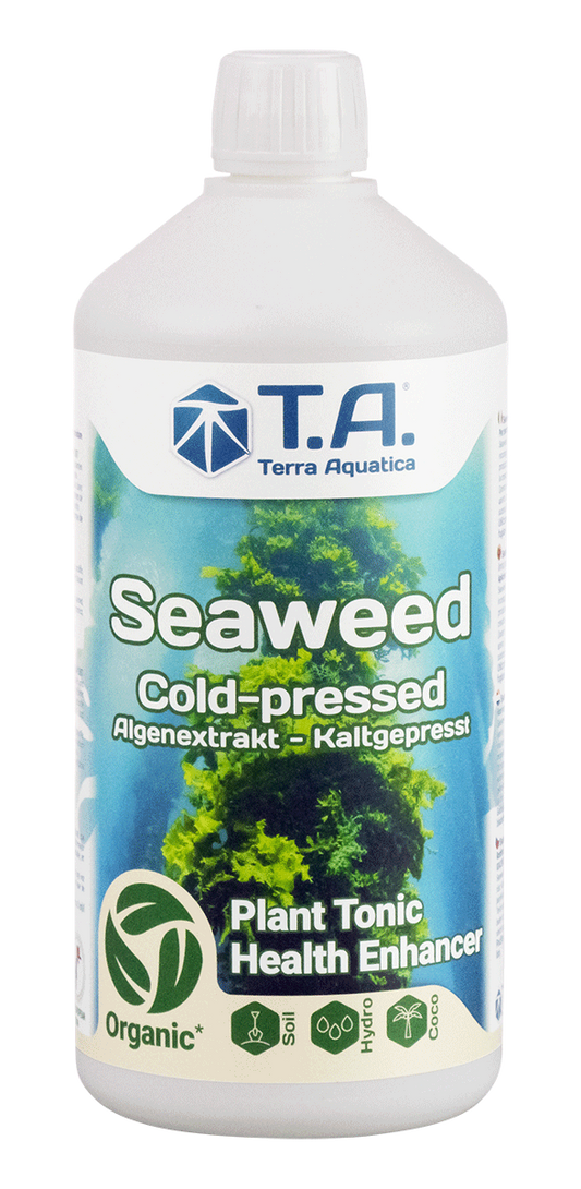 SEAWEED