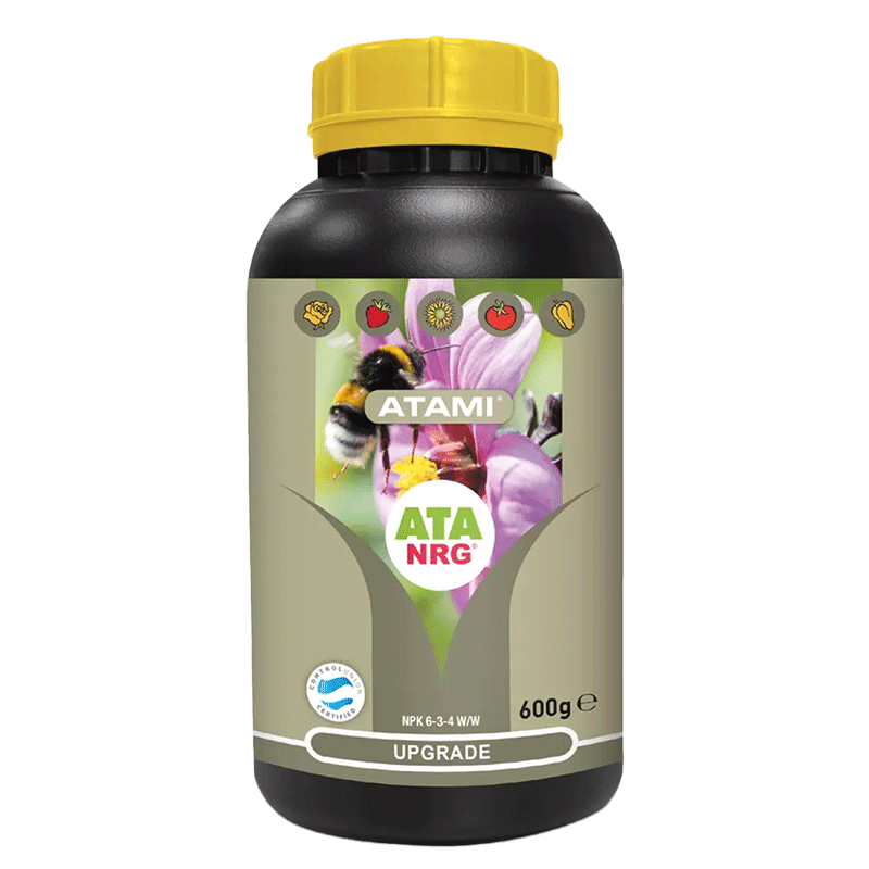 Upgrade ATA NRG