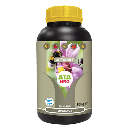 Upgrade ATA NRG