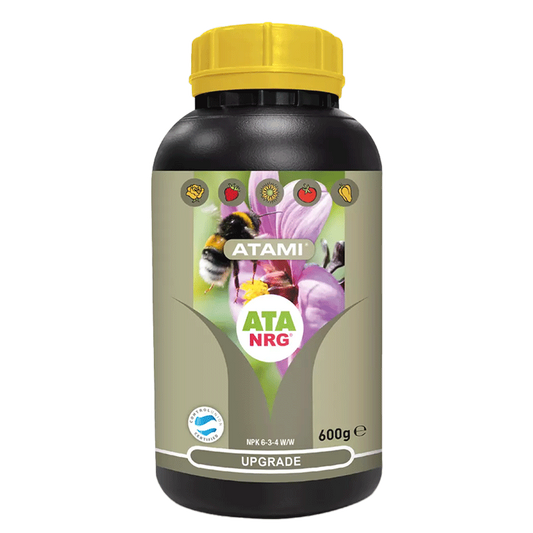 Upgrade ATA NRG