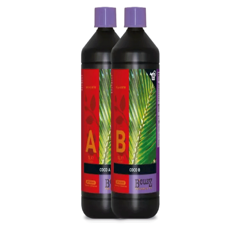 COCO A+B
