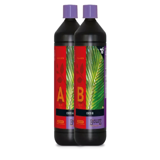 COCO A+B
