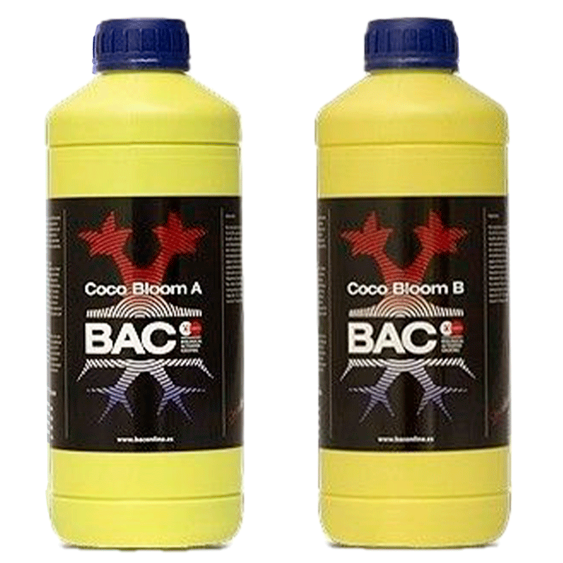 COCO BLOOM A+B
