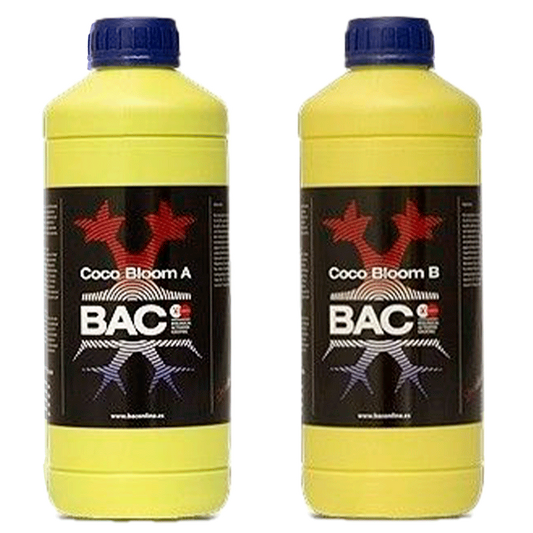 COCO BLOOM A+B