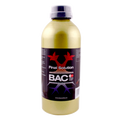 FINAL SOLUTION BAC