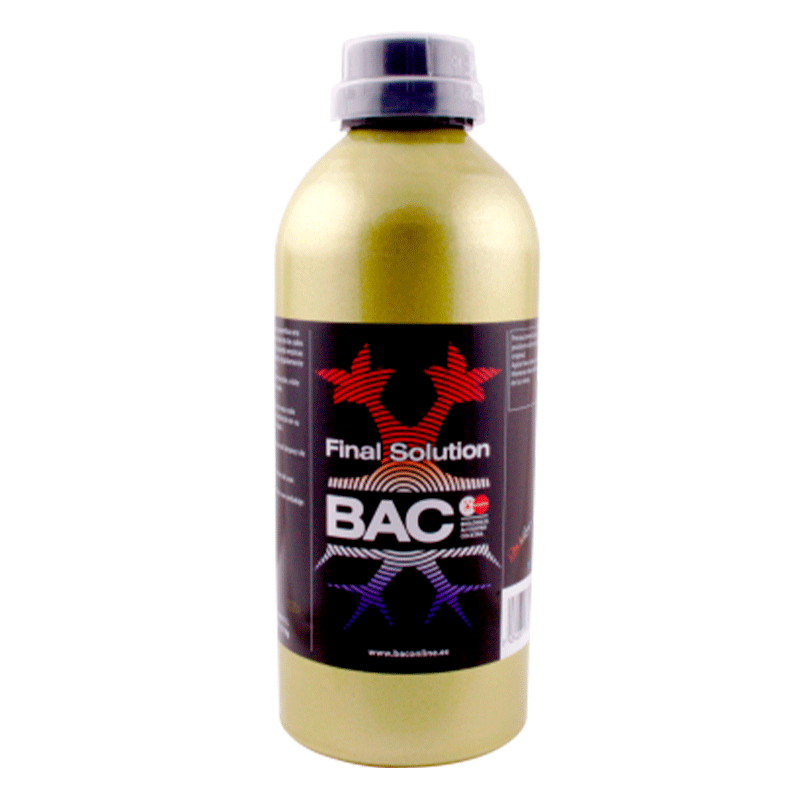 FINAL SOLUTION BAC