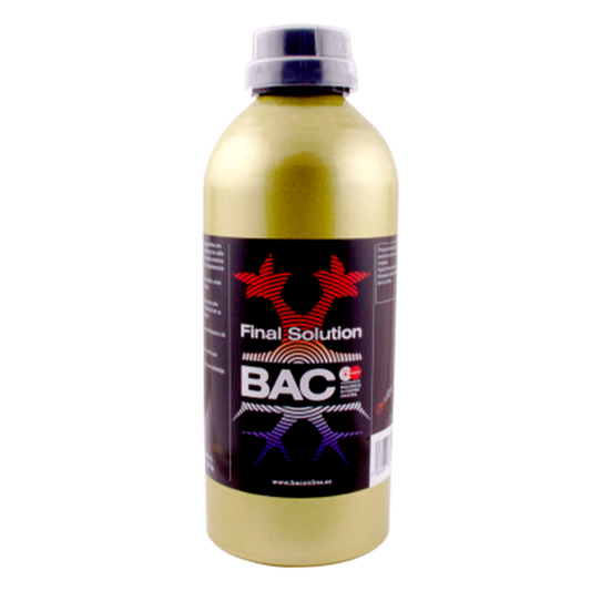 FINAL SOLUTION BAC