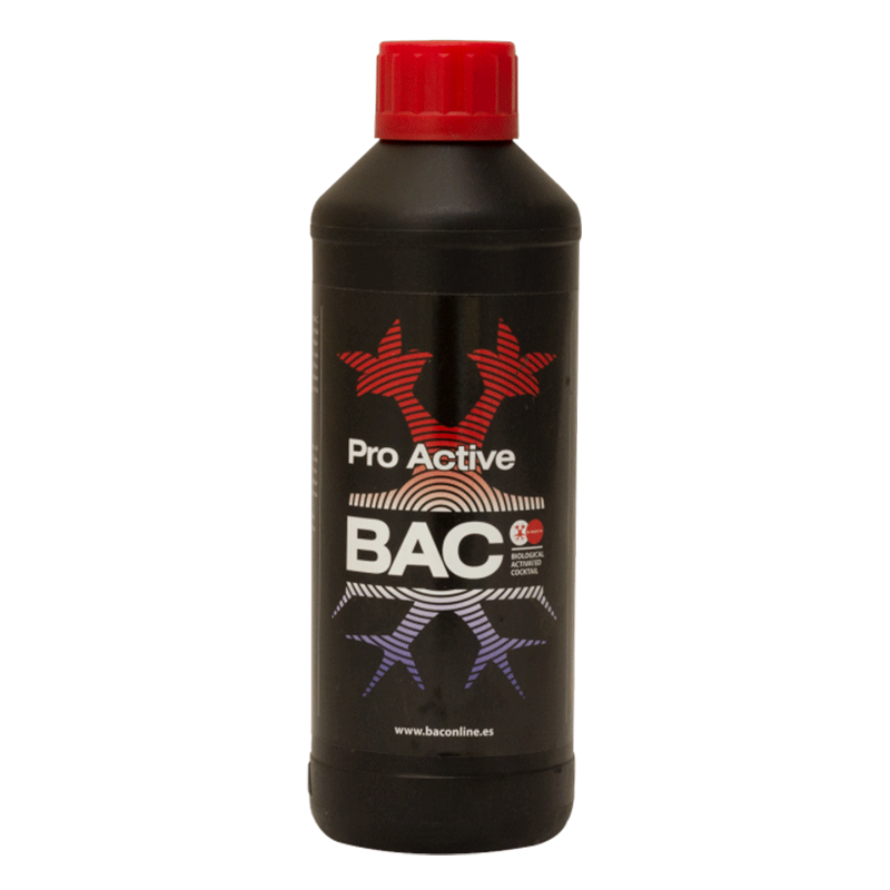 PRO ACTIVE