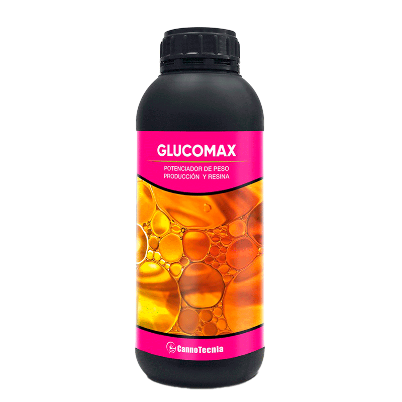 Glucomax Cannotecnia