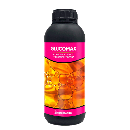 Glucomax Cannotecnia