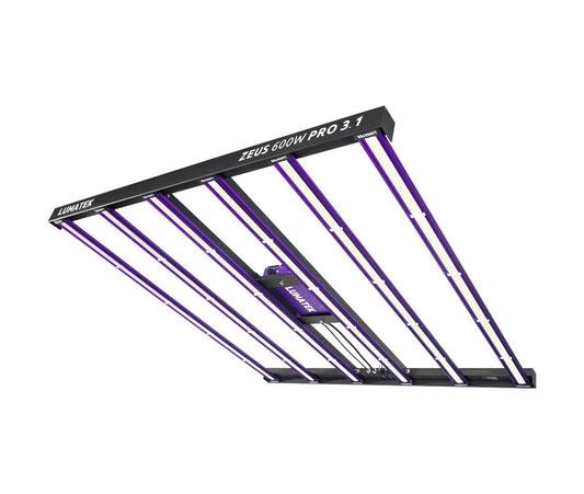 ZEUS 600W PRO 3.1