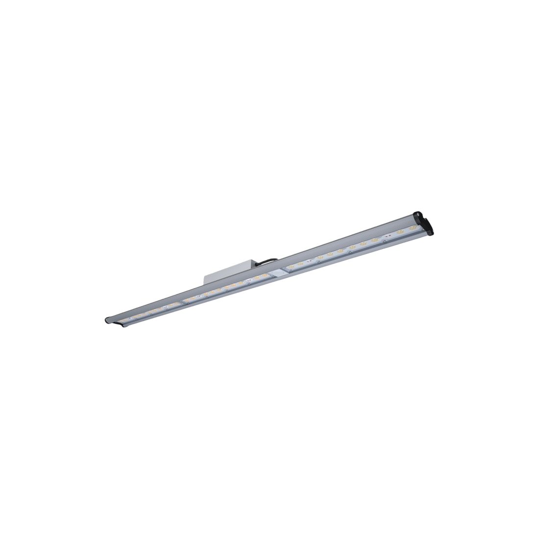 LED Daystar 100 W Platinum