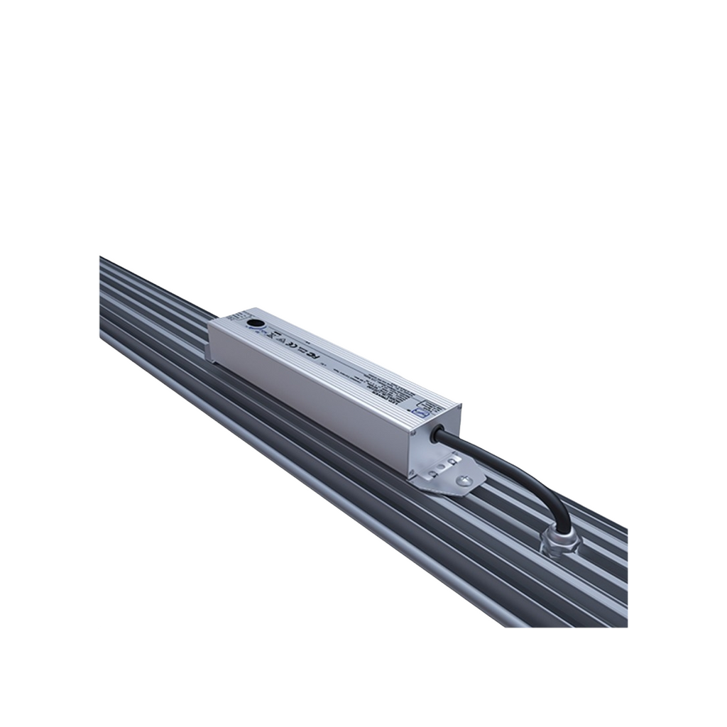 LED Daystar 100 W Platinum