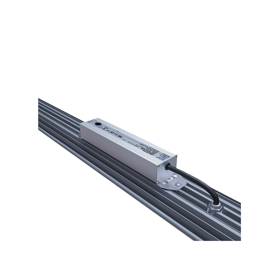 LED Daystar 100 W Platinum