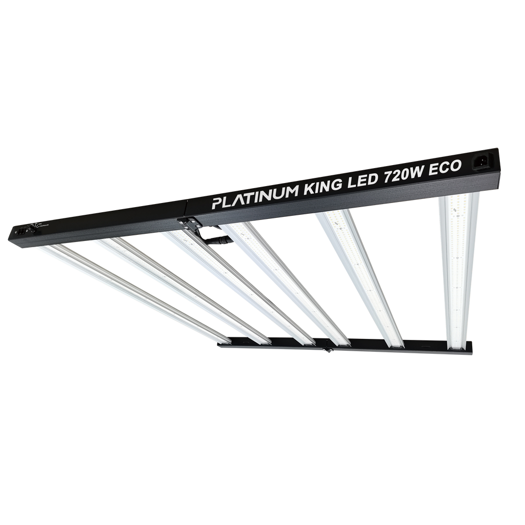 Platinum king led 720w eco driver integrado