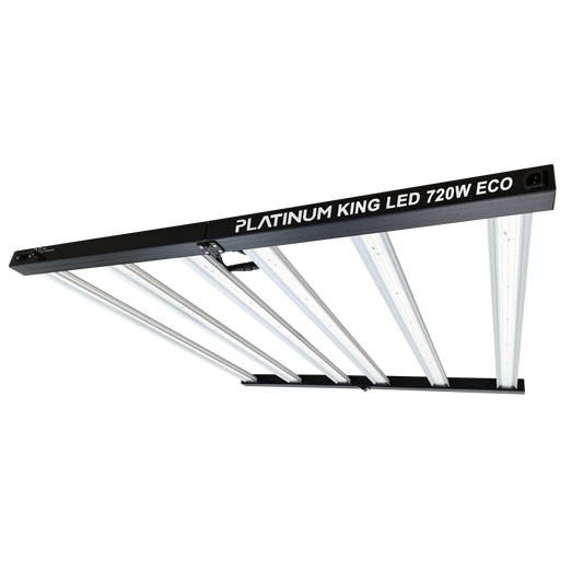 Platinum king led 720w eco driver integrado