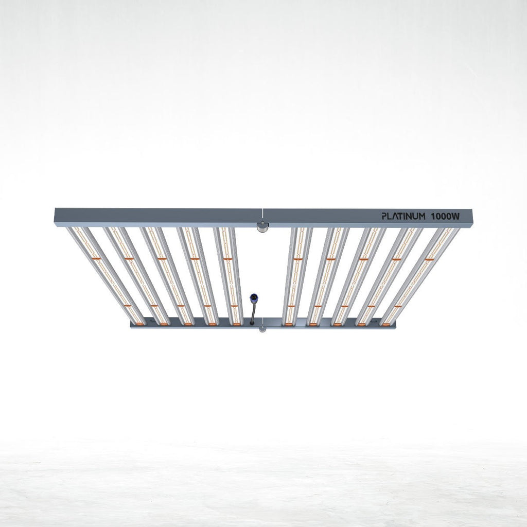 Platinum Led 1000w con conexión para master controller
