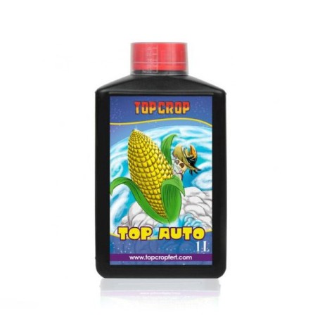 Top Auto