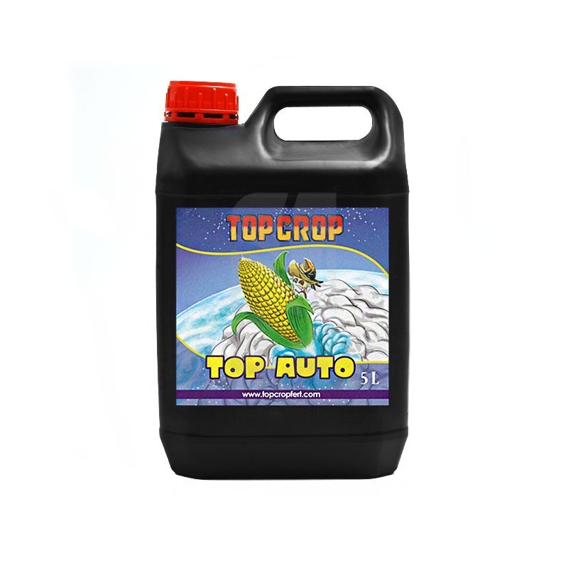 Top Auto