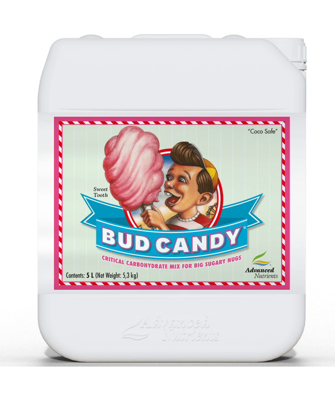 Bud Candy