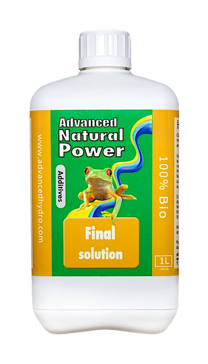 Final Solution